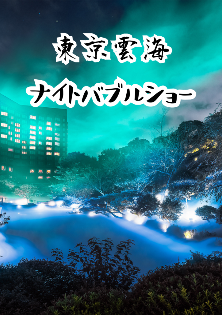 ホテル椿山荘東京 ナイトバブルショー導入事例 - 東京雲海×シャボン玉
